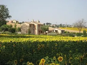 Cascina Poeta: Saturday Village, 5 people - Image 5