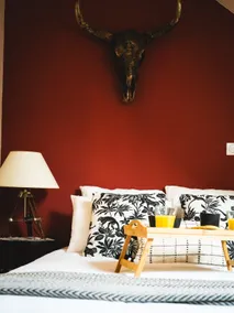 The Unusual: Chic Safari Experience in Saumur - Image 2