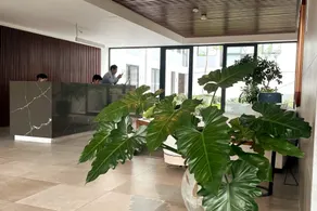 Modern and cozy apartment in Miraflores - Image 3