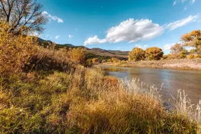 Animas River House - 22 acres of Riverfront with Amazing Views-20 mins to skiing - Image 2