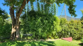 Relaxing 4BR Retreat - Pool, BBQ & Outdoor Shower - Image 5