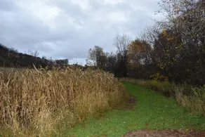 Cannon Valley Farmstead - Image 3