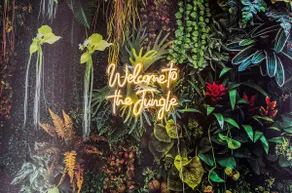Jungle Dream Loft! 3 Bed/ Wine/ Balcony/ Parking! - Image 3