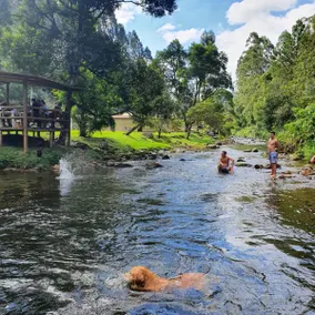 Large property with a river and lots of greenery - Image 5