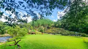 Large property with a river and lots of greenery - Image 3