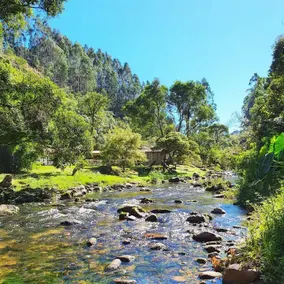 Large property with a river and lots of greenery - Image 4