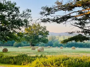 Luxury Lodge with spectacular views & tranquility - Image 2