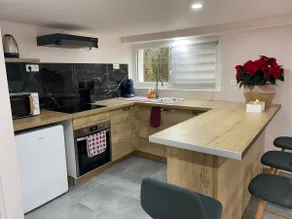 Entire apartment: guest house - Image 4