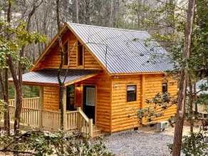 Evergreen - A Tiny Modern Log Cabin - Image 4