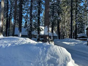 Large yard house in forest - Image 2