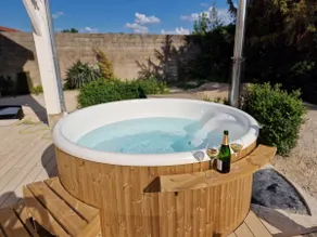 Nid du chardonnay en Champagne - Image 3