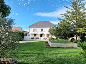 Nid du chardonnay en Champagne - Image 2
