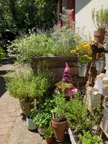 Alsatian country house, nature and relaxation - Image 3