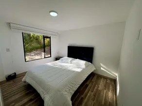 Green House, Apartaestudio - Image 3