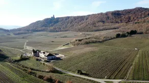 Le Gîte du Taennel - Image 2