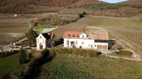 Le Gîte du Taennel - Image 4
