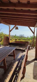 Casa Chandler, on the way to Mount Teide - Image 4