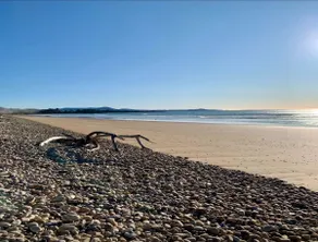 Easter - Beach, Saunas, Bike Track, Tasting Trail - Image 5