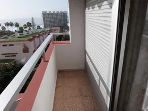 Marcos y Tota - Image 4