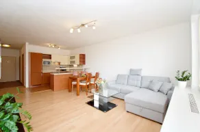 Modern flat, balcony, garage - Image 2