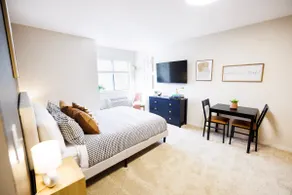 Modern Studio & Kitchenette in Greenwood Village - Image 4