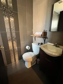 Apartment in Zona Dorada - Image 5