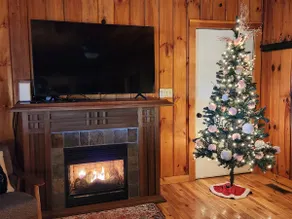 Cozy Cabin w/Views & Hot Tub in Townsend - Image 5