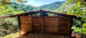 Guarumbo Cabin - Image 4