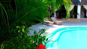 "luxury Boutique Villa With Gorgeous Pool" - Image 3