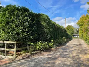 East Quogue summer vactaion home - Image 2