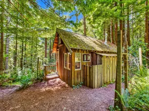 Dual Cabins & Treehouse - Image 3