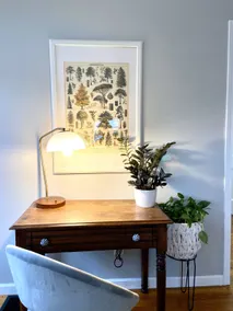The Evergreen - nature inspired home to unwind - Image 3