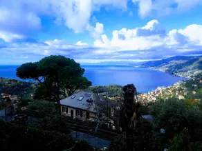 CASAVIVA - Bilo with SeaView and parking in Camogli - Image 5