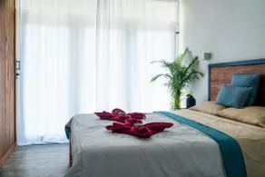 Sarnai | Santokh – Balcony, Bathtub & Rooftop - Image 2