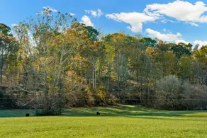 The Cabin at Roney Creek Ranch - Image 5