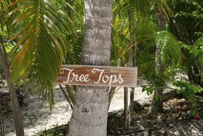 Treetops Apt.Sleep1-4 Beach Steps Away - Image 3