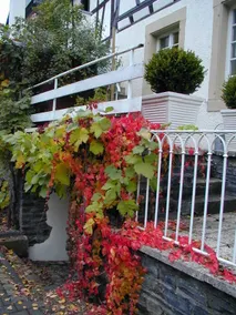 Mosel-Side Junior Suite - Image 4