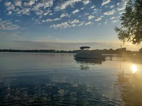 Tree House Studio - Image 3