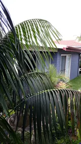 VILLA BLUE - BLUE BAY - Image 2