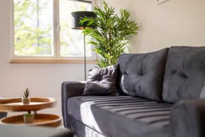 Living in the Gerberhaus - Superior Apartment - Image 4