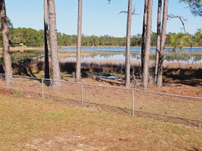 Secluded forest home on lakefront - Image 3