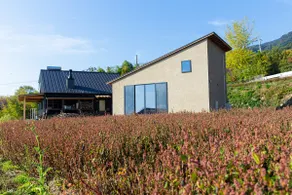 A small house overlooking the ocean | Life and handicrafts on Awaji Island, surrounded by indigo - Image 5