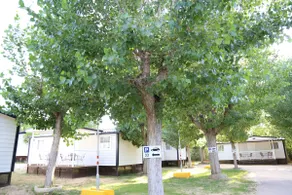 Mobile Home1 - Image 3