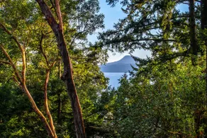 Newly updated cottage; hot tub, forest/ocean view - Image 3