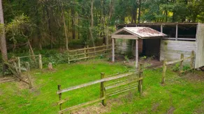 Cozy cabin for 8! New Hot Tub, Firepit - Image 5