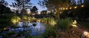 Exquisite house with chickens and koi pond - Image 2