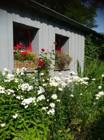 Ferienhaus Quick's Cottage - Image 3