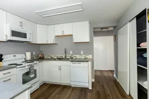 Cozy Blue Home- Newly Remodeled! - Image 4