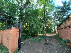 Parana Riverside - Image 4