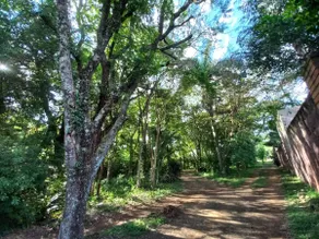 Parana Riverside - Image 5